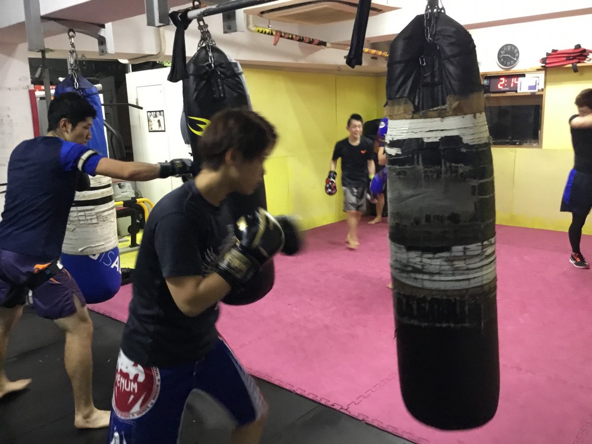 1B537062 81BC 4DEA 8853 65C44C73B470